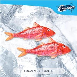 Frozen Red Mullet