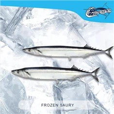 Frosinn Saury