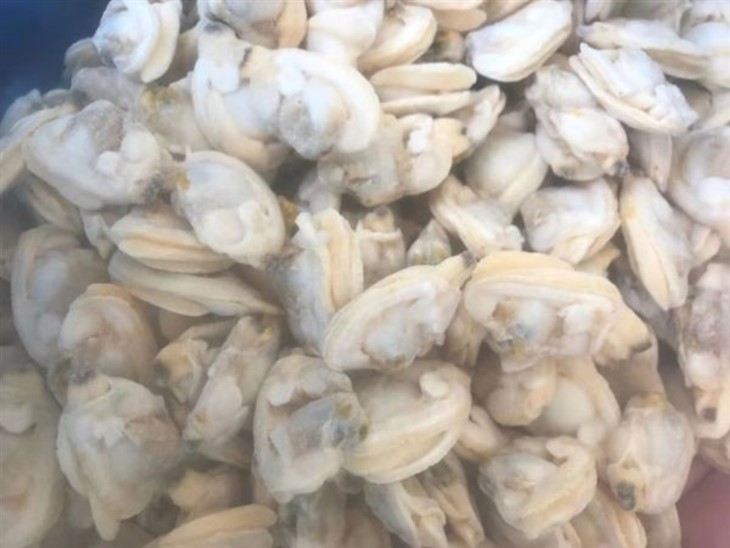 Frosinn Paphia Undulata