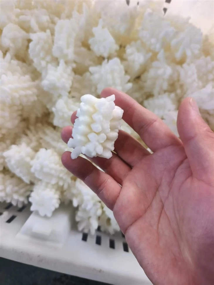 Frozen Squid Cut Flower