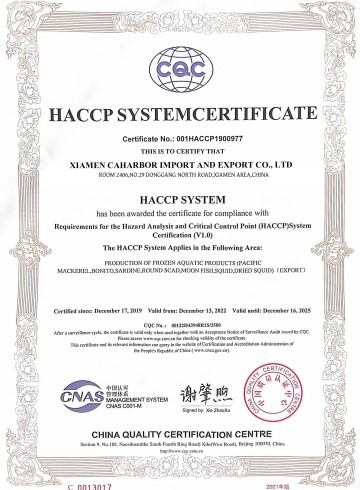 20241231143144 20241231143144